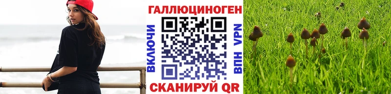 Псилоцибиновые грибы ЛСД  Межгорье 